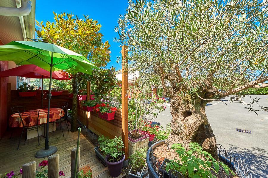 Residence La Baie Des Landes グジャン・メストラ エクステリア 写真
